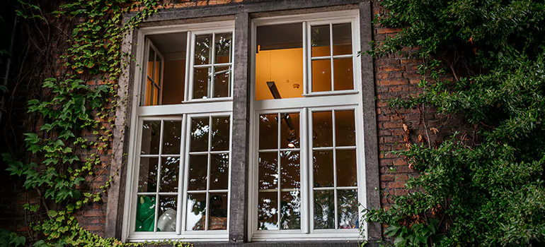 Energy Efficient Wood Windows in Palm Coast, FL
